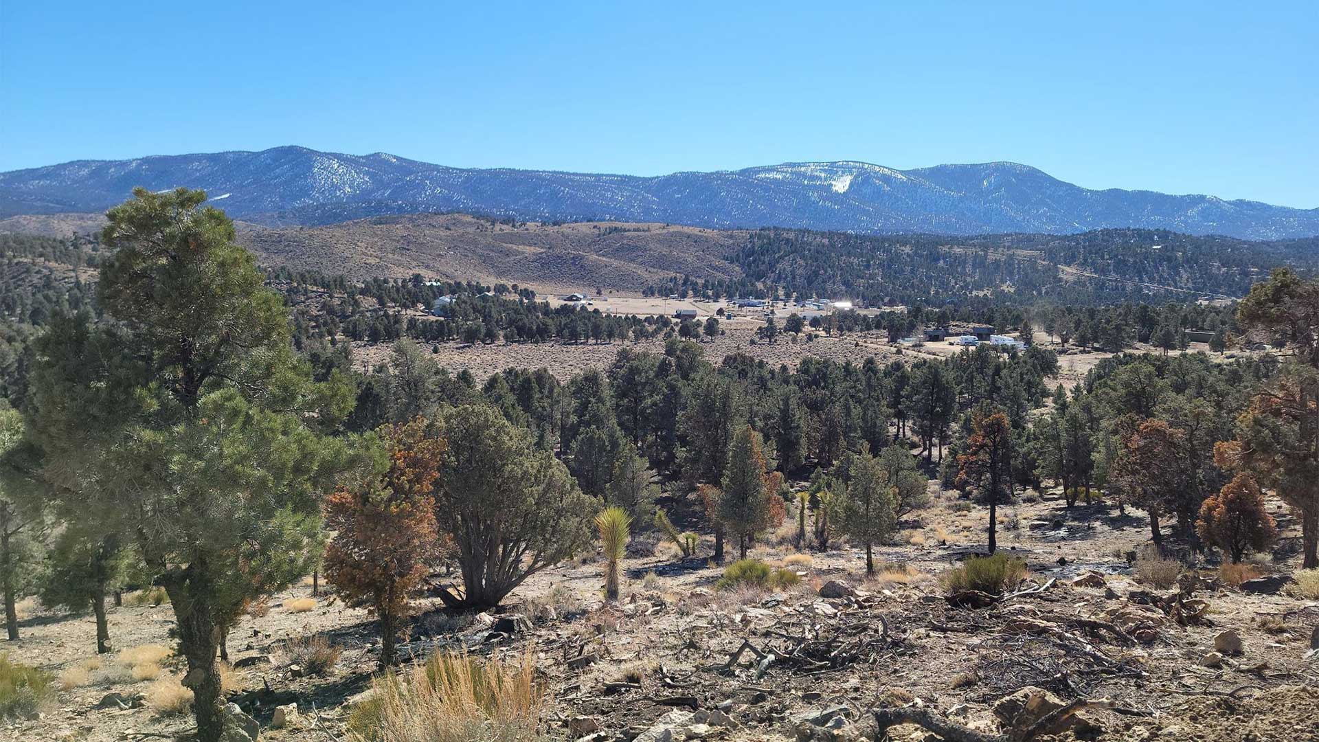 pioneer town big bear ohv los angeles off roading